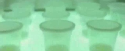 Vanilla Pudding Robbery