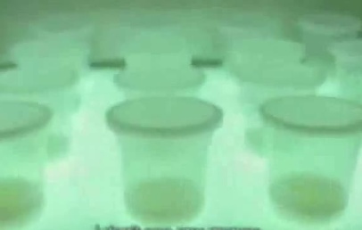 Vanilla Pudding Robbery